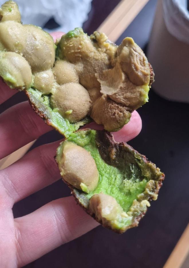 Avocado mit Pilzbefall von innen